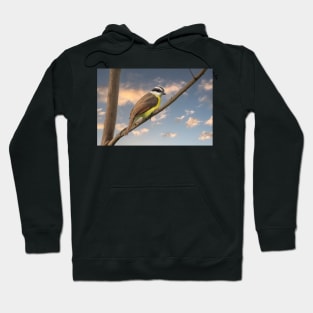 Good Morning Great Kiskadee Hoodie